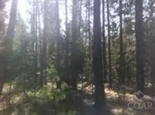 17237 Jacinto Rd, Bend, OR 97707 photo 8
