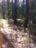17237 Jacinto Rd, Bend, OR 97707 photo 7