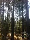 17237 Jacinto Rd, Bend, OR 97707 photo 6