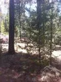 17237 Jacinto Rd, Bend, OR 97707 photo 2