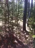 17237 Jacinto Rd, Bend, OR 97707 photo 3