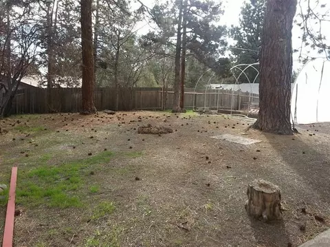 80 SE Craven Rd, Bend, OR 97702 photo 13