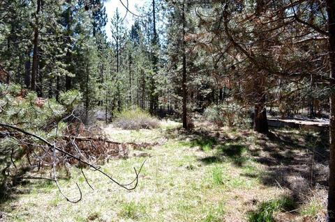 17253 Jacinto Rd, Bend, OR 97707 photo 3