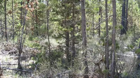 56236 Eider Rd, Bend, OR 97707 photo 14