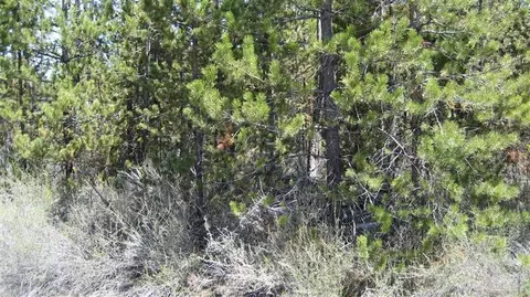56236 Eider Rd, Bend, OR 97707 photo 12