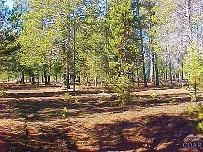 52663 Rainbow Dr, La Pine, OR 97739 photo 3
