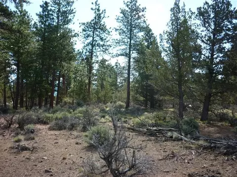 16160 N Foothill Loop, Sisters, OR 97759 photo 8