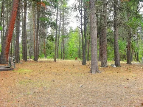 51669 Pine St, La Pine, OR 97739 photo 12