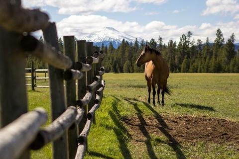 55975 Hashknife Rd, Bend, OR 97707 photo 19