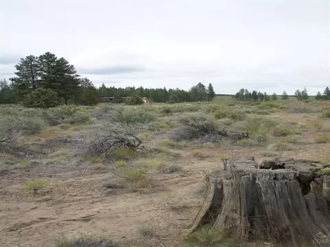 19467 Stafford Loop, Bend, OR 97702 photo 8