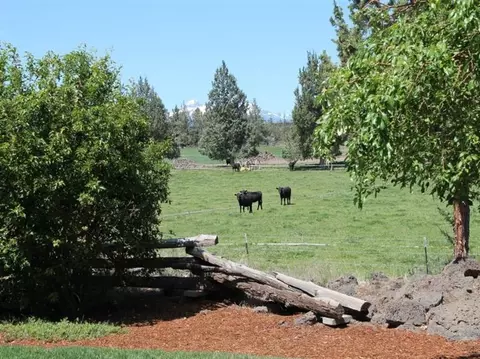 21598 Morrill Rd, Bend, OR 97701 photo 14