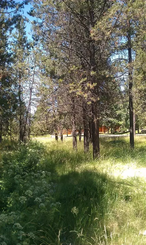 55722 Big River Dr, Bend, OR 97707 photo 7