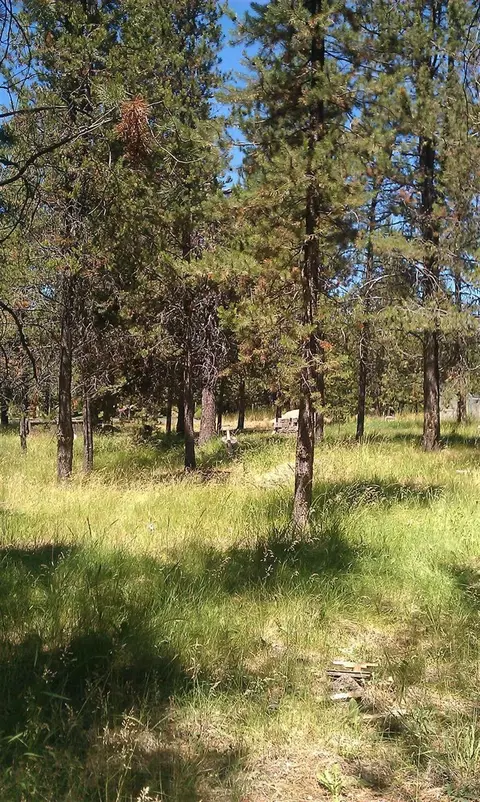 55722 Big River Dr, Bend, OR 97707 photo 6