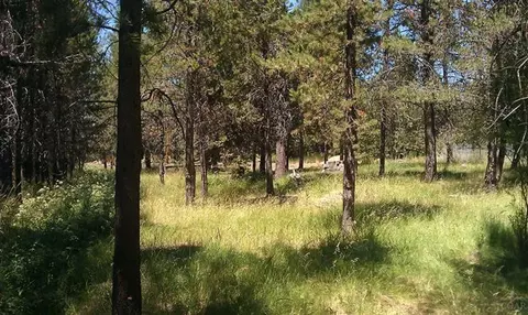 55722 Big River Dr, Bend, OR 97707 photo 1