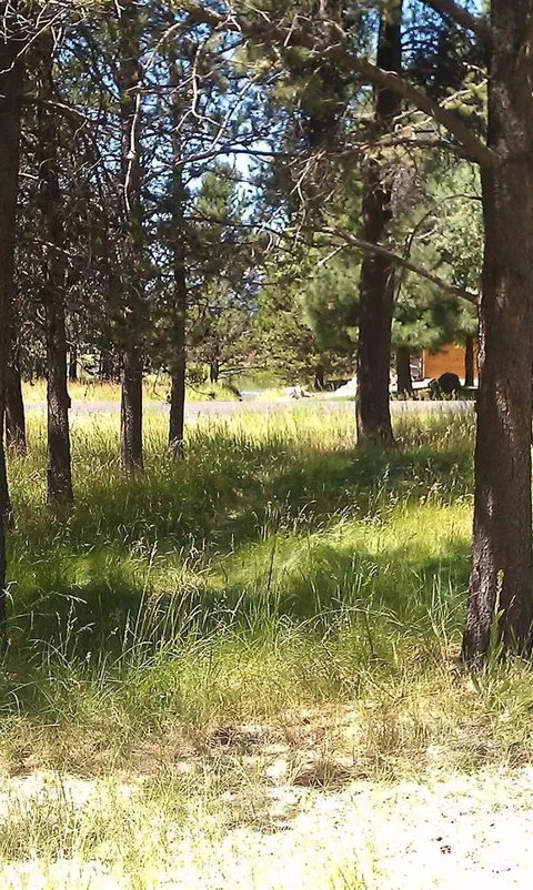 55722 Big River Dr, Bend, OR 97707 photo 5