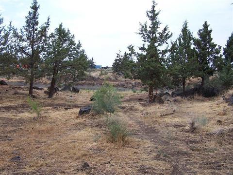 1091 NE Kayak Loop, Bend, OR 97701 photo 3