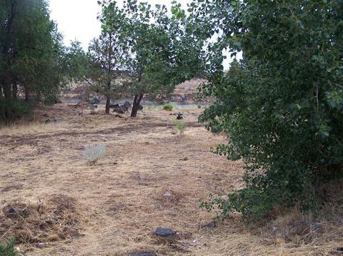 1091 NE Kayak Loop, Bend, OR 97701 photo 1