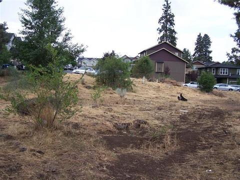 1091 NE Kayak Loop, Bend, OR 97701 photo 6