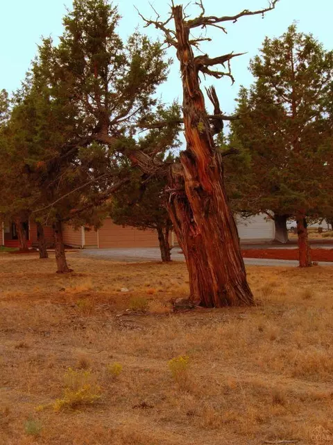 64845 Mcgrath Rd, Bend, OR 97701 photo 6