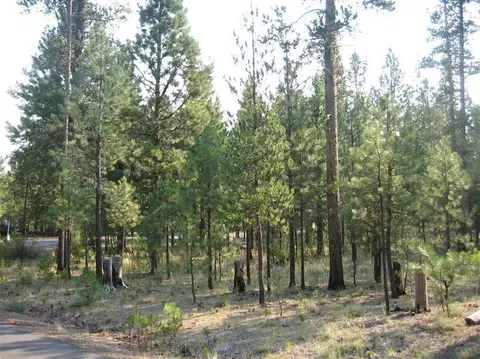 14200 Whitewater Loop, La Pine, OR 97739 photo 5