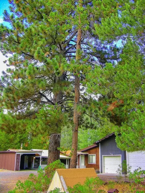 15902 Jackpine, La Pine, OR 97739 photo 11