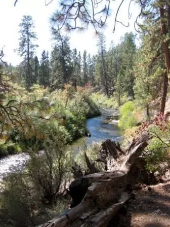 60424 Snap Shot Loop, Bend, OR 97702 photo 9