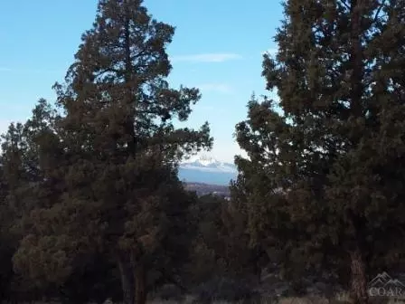 65340 93rd Pl, Bend, OR 97701 photo 8