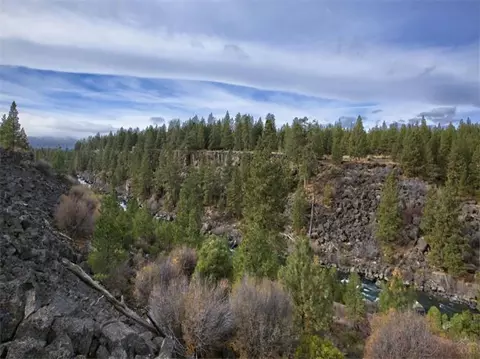 19582 Aster Ln, Bend, OR 97702 photo 5