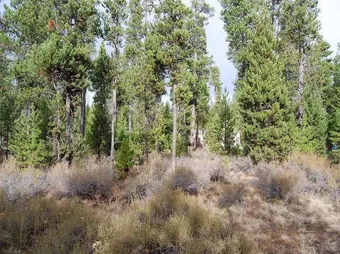 16058 Sparks Dr, La Pine, OR 97739 photo 16