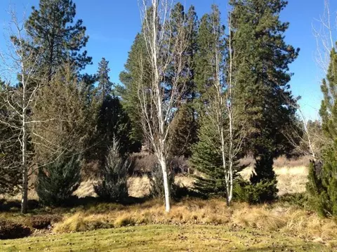 19517 Blue Lake Loop, Bend, OR 97702 photo 20