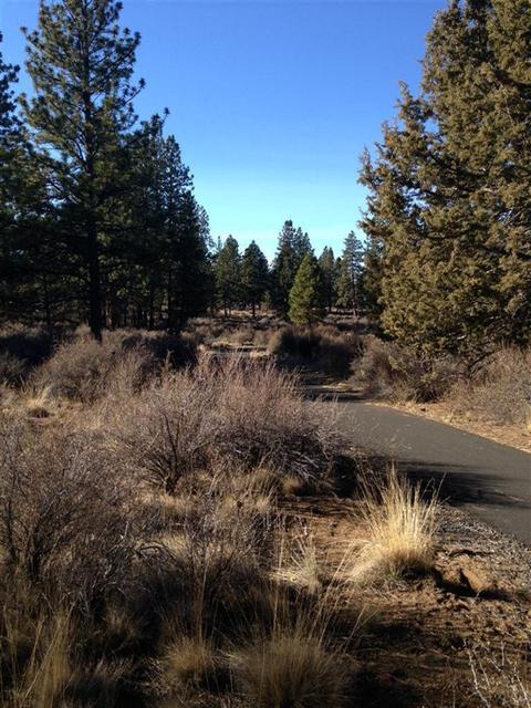 60341 SE Sage Stone Loop, Bend, OR 97702 photo 21