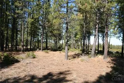 61019 Bachelor View Rd, Bend, OR 97702 photo 3