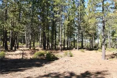 61019 Bachelor View Rd, Bend, OR 97702 photo 2