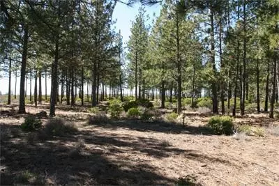 61019 Bachelor View Rd, Bend, OR 97702 photo 4