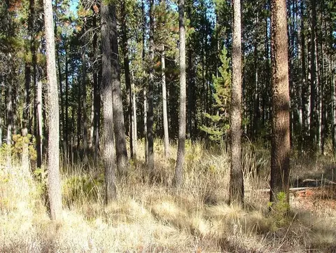 17339 Jacinto Rd, Bend, OR 97707 photo 14