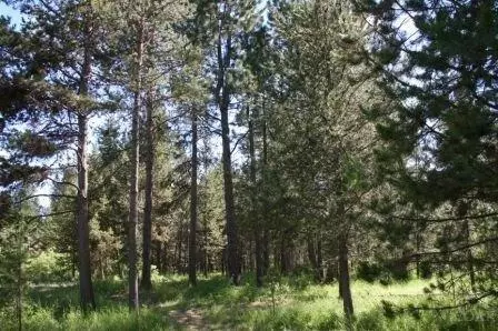 51570 Riverland Ave, La Pine, OR 97739 photo 24