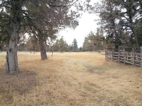 62245 Cody Rd, Bend, OR 97701 photo 18