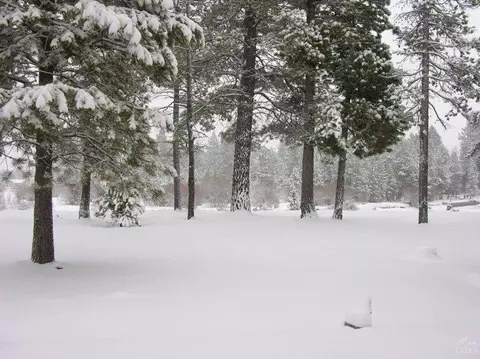55649 Wagon Master Way, Bend, OR 97707 photo 23