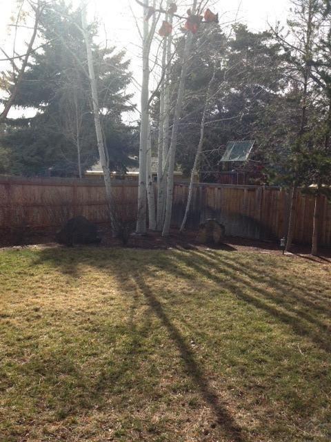 2415 NE Libby Pl, Bend, OR 97701 photo 5