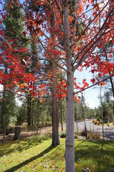 16068 Twin Dr, La Pine, OR 97739 photo 9