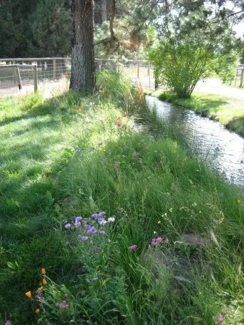 18380 Pinehurst Rd, Bend, OR 97701 photo 15