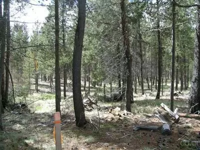 55342 Heierman Dr, Bend, OR 97707 photo 3