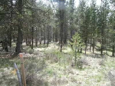 55342 Heierman Dr, Bend, OR 97707 photo 4