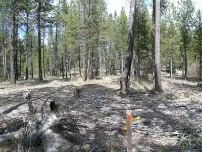 55342 Heierman Dr, Bend, OR 97707 photo 2