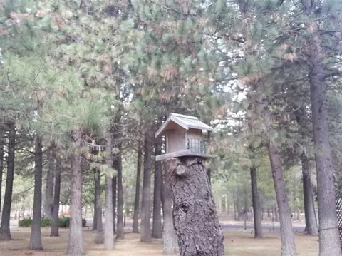 51830 Pine Loop Dr, La Pine, OR 97739 photo 13