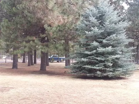 51830 Pine Loop Dr, La Pine, OR 97739 photo 19