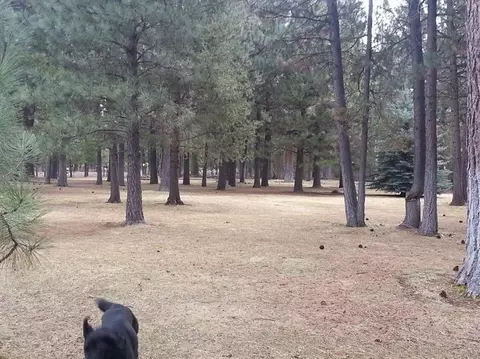 51830 Pine Loop Dr, La Pine, OR 97739 photo 2