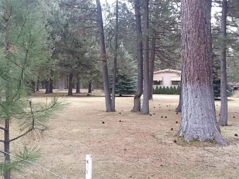 51830 Pine Loop Dr, La Pine, OR 97739 photo 15