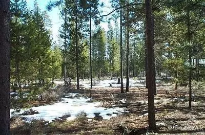 52261 Stearns Rd, La Pine, OR 97739 photo 5