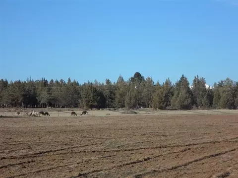 65415 Cline Fls, Bend, OR 97701 photo 3